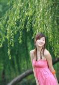 vi资源机关职能与流程